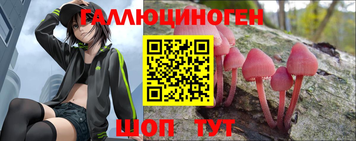 Галлюциногенные грибы GOLDEN TEACHER Советск